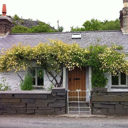 Cycle To The Zipwire Vila Bethesda Exterior foto
